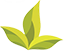 Instant Tea Powder Processing Plant